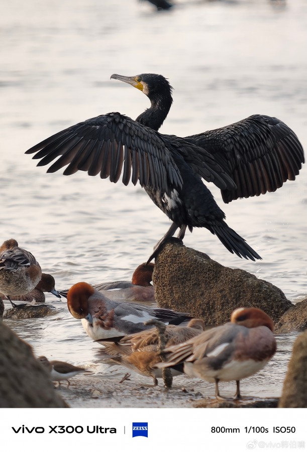  vivo X300 Ultra Camera Samples Reveal 200MP Power