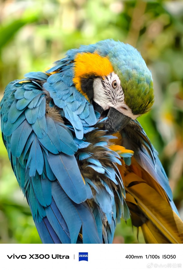  vivo X300 Ultra Camera Samples Reveal 200MP Power