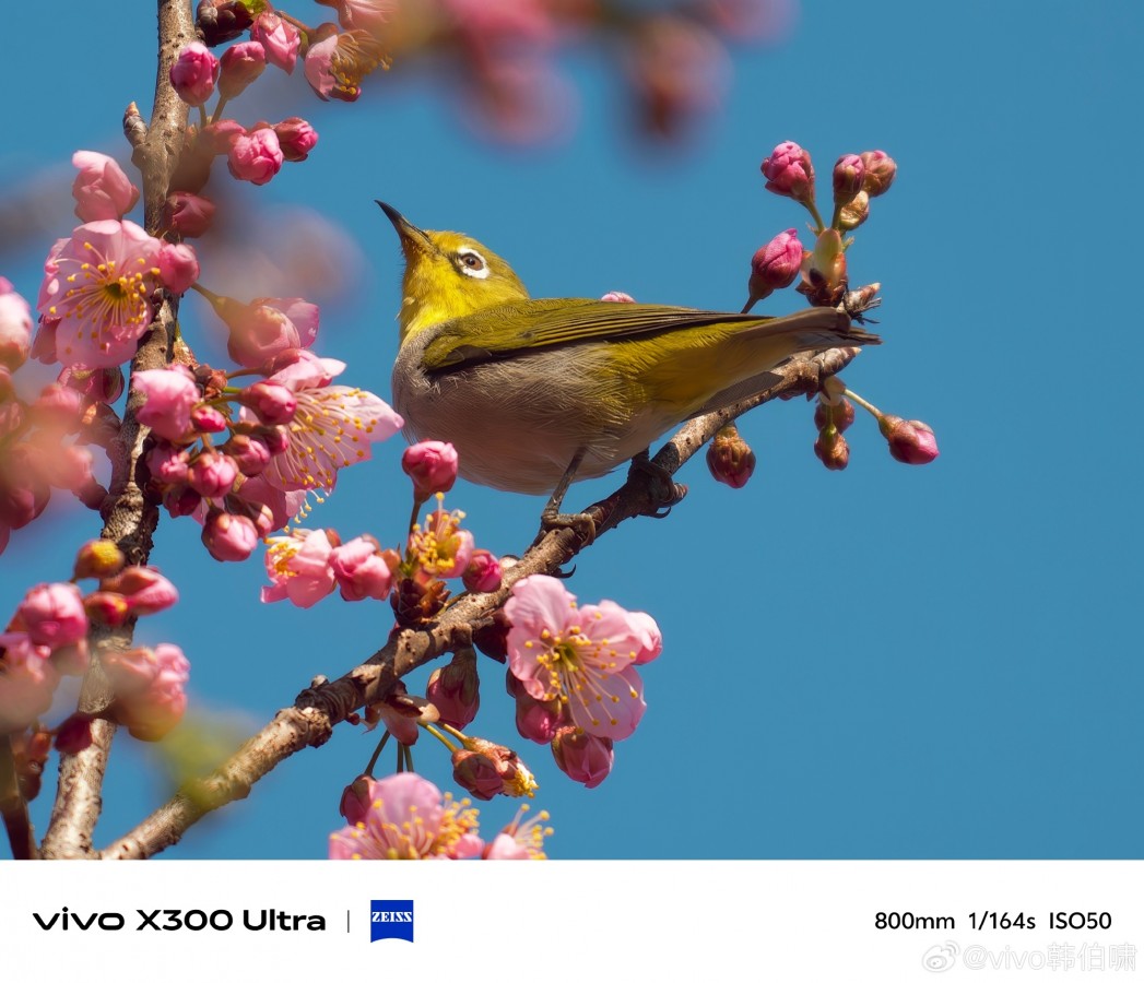  vivo X300 Ultra Camera Samples Reveal 200MP Power